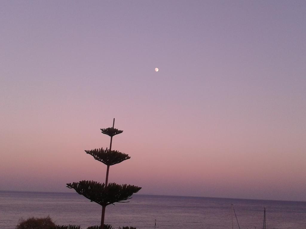 Apartmán Sunrise Flora