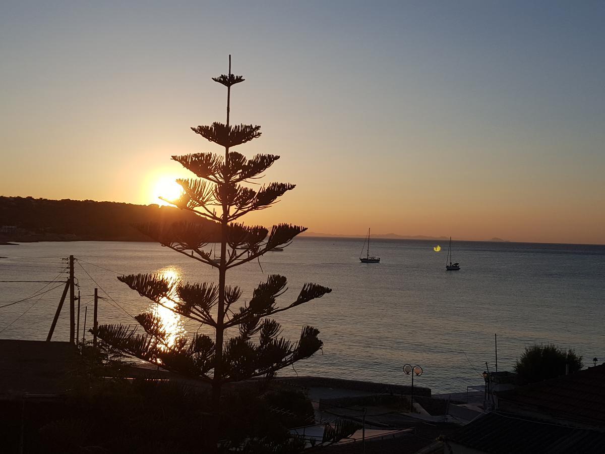 Sunrise Flora *