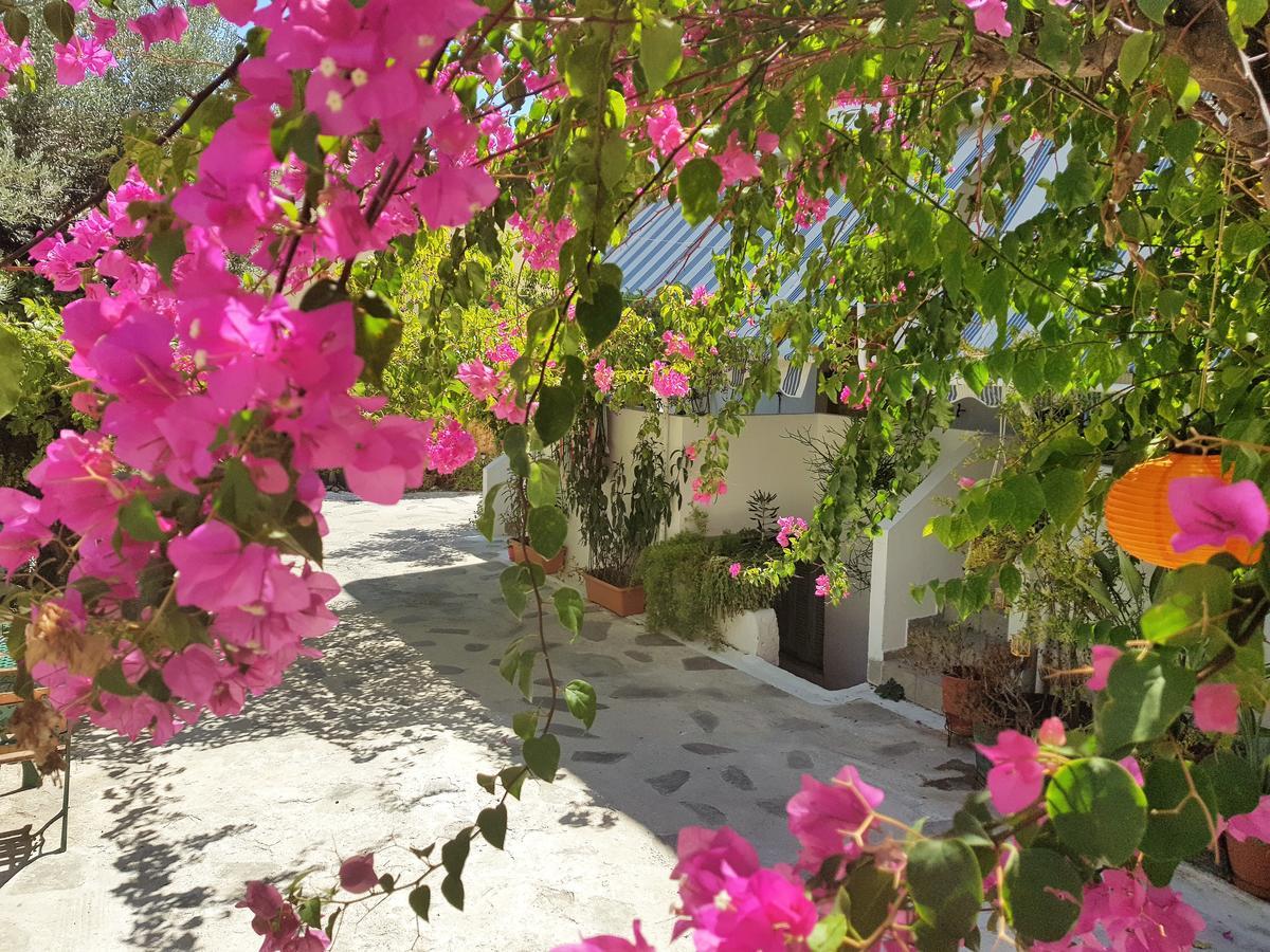 Sunrise Flora Apartment *
